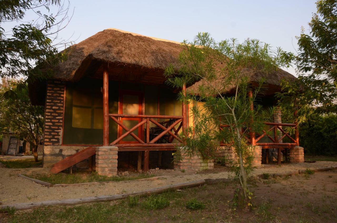 Irungu Forest Safari Lodge Katunguru Ngoại thất bức ảnh